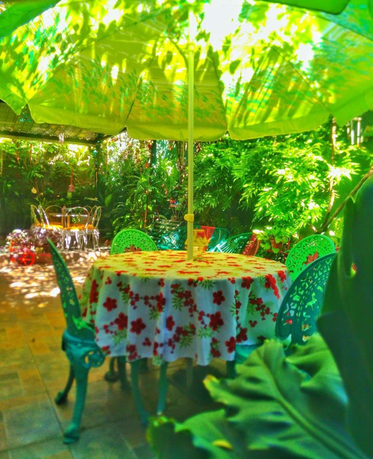 Hotel Oasis San Salvador Bagian luar foto
